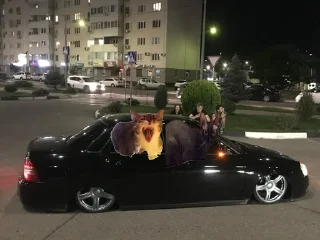 🚘 emoji Админ админов Telegram sticker 7 of 7