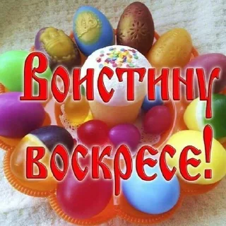🥚 emoji Лучшие рецепты здесь 👇🏻 @miracle_menu Telegram sticker 5 of 66