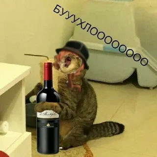 🦊 emoji бродячие коты Telegram sticker 21 of 114