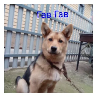 😄 emoji Дауны Telegram sticker 7 of 12