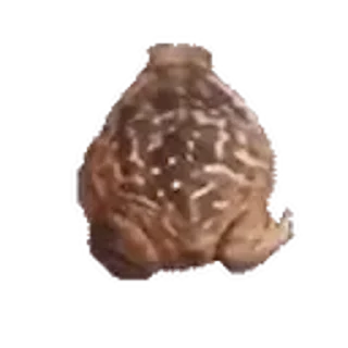 Sticker from Pepe by @dedmiii