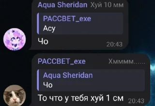Sticker from Табуретка @sozdat_stikery_bot