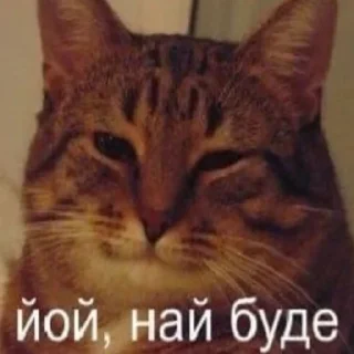 🇺🇦 emoji садок вишневий коло хати 3 Telegram sticker 17 of 115