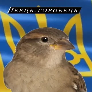 🇺🇦 emoji садок вишневий коло хати 3 Telegram sticker 21 of 115