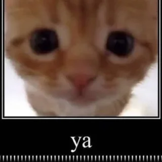 😟 emoji Россия щедрая душа Telegram sticker 17 of 107