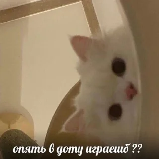 🫥 emoji Россия щедрая душа Telegram sticker 15 of 107
