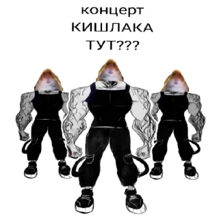 😎 emoji рофлы сарка и пакетика Telegram sticker 5 of 52