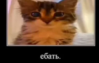 🌟 emoji Черная чушка Telegram sticker 18 of 120