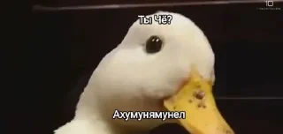 🥶 emoji Черная Картоха Telegram sticker 3 of 8
