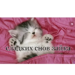 😴 emoji Больше стиков тут: @stikery4 Telegram sticker 4 of 72