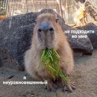 😡 emoji Больше стиков тут: @stikery4 Telegram sticker 6 of 40