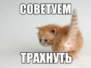 🤤 emoji эти стикеры принадлежат @seeltwer Telegram sticker 10 of 65