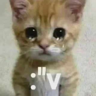 😭 emoji эти стикеры принадлежат @seeltwer Telegram sticker 20 of 65