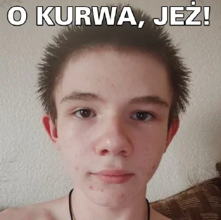 🦔 emoji Нісенітниці від дяді Льоші Telegram sticker 9 of 37