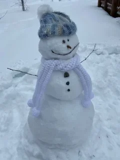 ⛄️ emoji Снеговики || @Alyona_Ferfetsckaya Telegram sticker 7 of 20