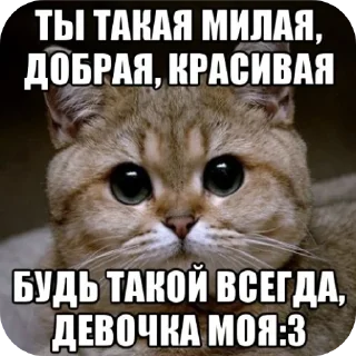 Sticker from Пидарас