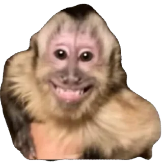 🫥 emoji Пак Владислава П Telegram sticker 6 of 52