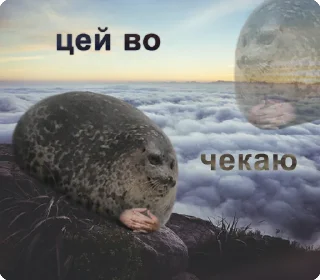 ⏳ emoji цей во... @solovyy Telegram sticker 19 of 38