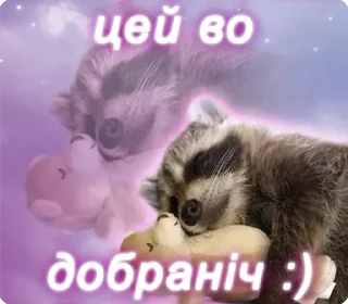 🦝 emoji цей во... @solovyy Telegram sticker 15 of 38