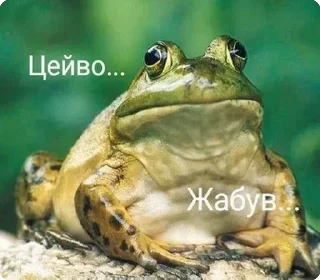 🐸 emoji цей во... @solovyy Telegram sticker 12 of 38