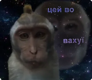 🤯 emoji цей во... @solovyy Telegram sticker 21 of 38