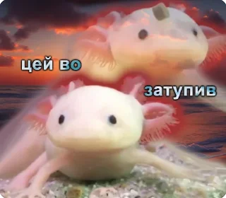 😦 emoji цей во... @solovyy Telegram sticker 20 of 38