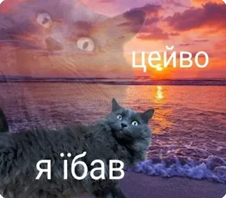 🖕 emoji цей во... @solovyy Telegram sticker 8 of 38