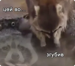 😶 emoji цей во... @solovyy Telegram sticker 13 of 38