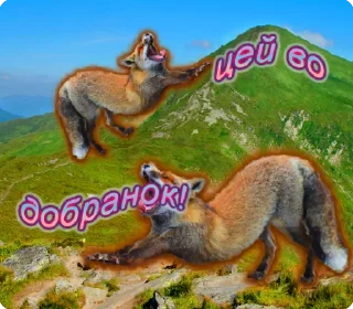 🤩 emoji цей во... @solovyy Telegram sticker 16 of 38