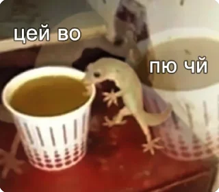 ☕️ emoji цей во... @solovyy Telegram sticker 18 of 38