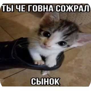 Sticker from Стики