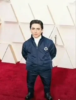 Sticker from timothee chalamet💓