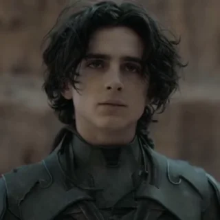 🗡 emoji Paul Atreides | By @WBW_Stickers Telegram sticker 18 of 73