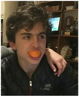 🍊 emoji Тимофей Шалфей Telegram sticker 14 of 29
