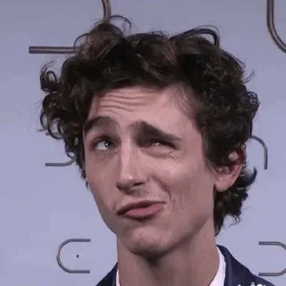 🥴 emoji Тимофей Шалфей Telegram sticker 18 of 29