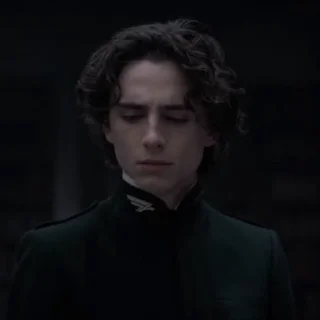 😥 emoji Paul Atreides | By @WBW_Stickers Telegram sticker 7 of 73