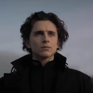 😎 emoji Paul Atreides | By @WBW_Stickers Telegram sticker 9 of 73