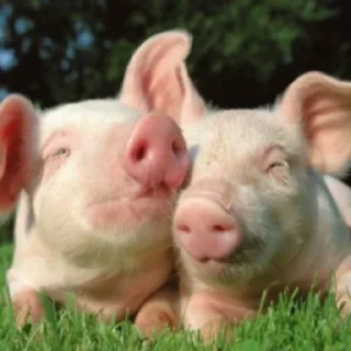 💓 emoji как муд. Telegram sticker 22 of 30
