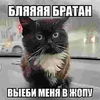 Sticker from Трич Лена