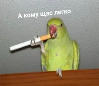 😞 emoji Шиза. Telegram sticker 10 of 66