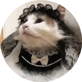 💃 emoji СТИКЕРЫ ТУТ -> @stikery_stickers Telegram sticker 4 of 50