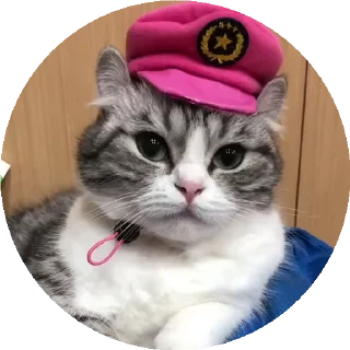 👮‍♂️ emoji СТИКЕРЫ ТУТ -> @stikery_stickers Telegram sticker 7 of 50