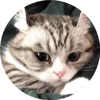 😟 emoji СТИКЕРЫ ТУТ -> @stikery_stickers Telegram sticker 15 of 50