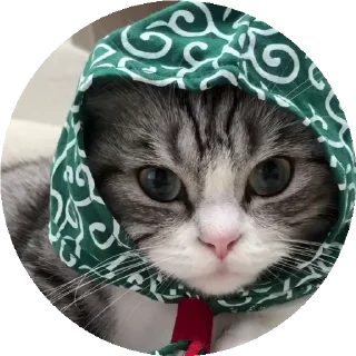 👵 emoji СТИКЕРЫ ТУТ -> @stikery_stickers Telegram sticker 8 of 50