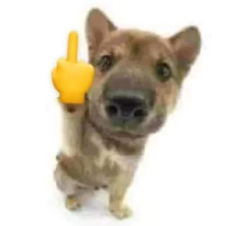 🖕 emoji Больше стикеров: @sticerru Telegram sticker 24 of 28