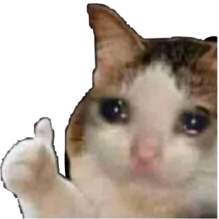 👍 emoji Ти шо циган? Telegram sticker 4 of 83