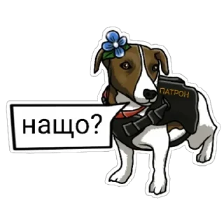 😅 emoji Пес Патрон @gif_ochky Telegram sticker 11 of 15