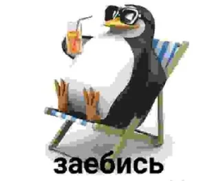 Sticker from Chobla