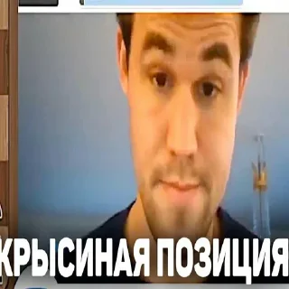 🐀 emoji конь прыгает Telegram sticker 10 of 28