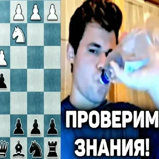 📚 emoji конь прыгает Telegram sticker 18 of 28